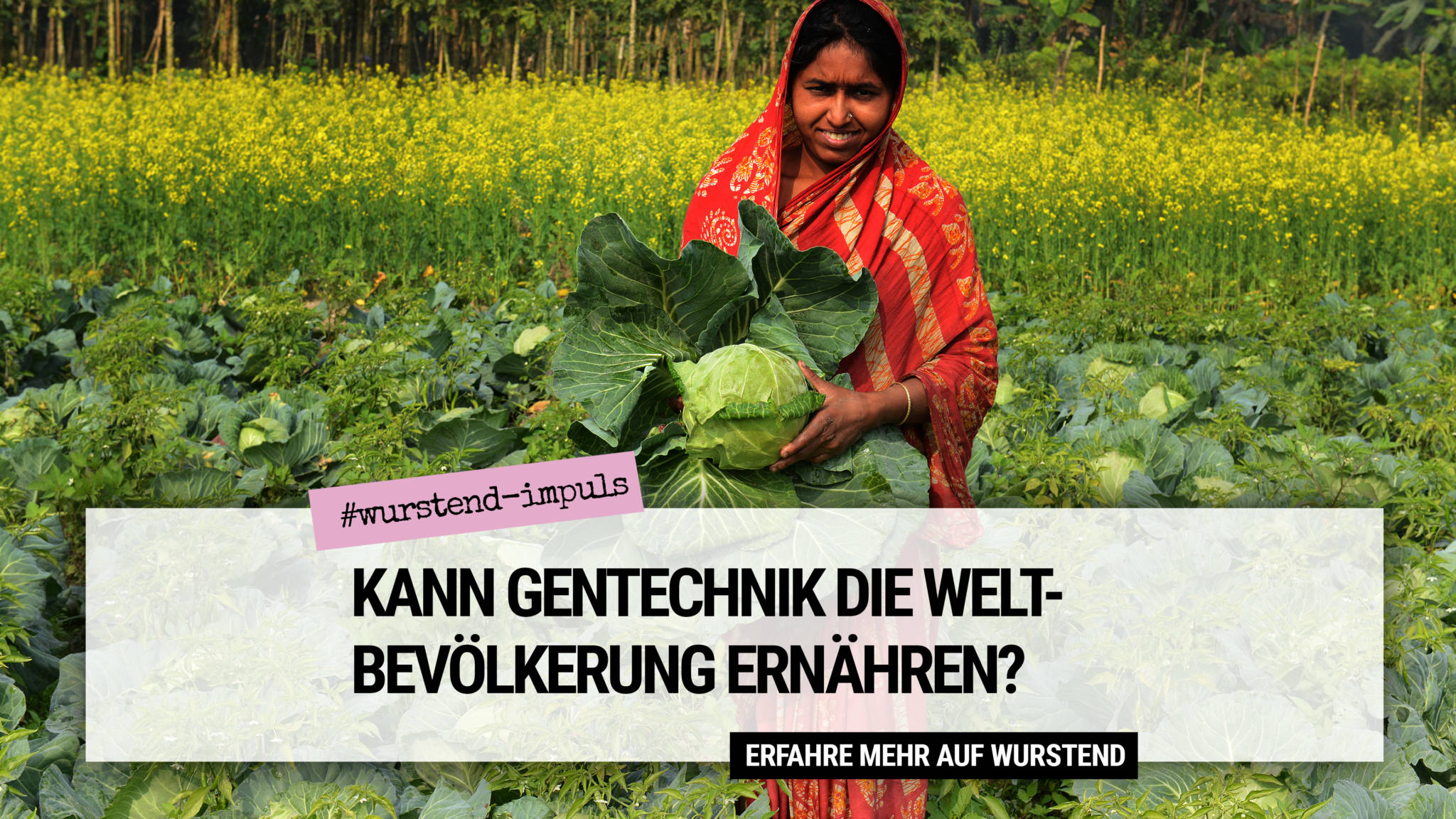 Bio oder Gentechnik - wer ernährt die Weltbevölkerung? Bio oder Gentechnik - wer ernährt die Weltbevölkerung?
