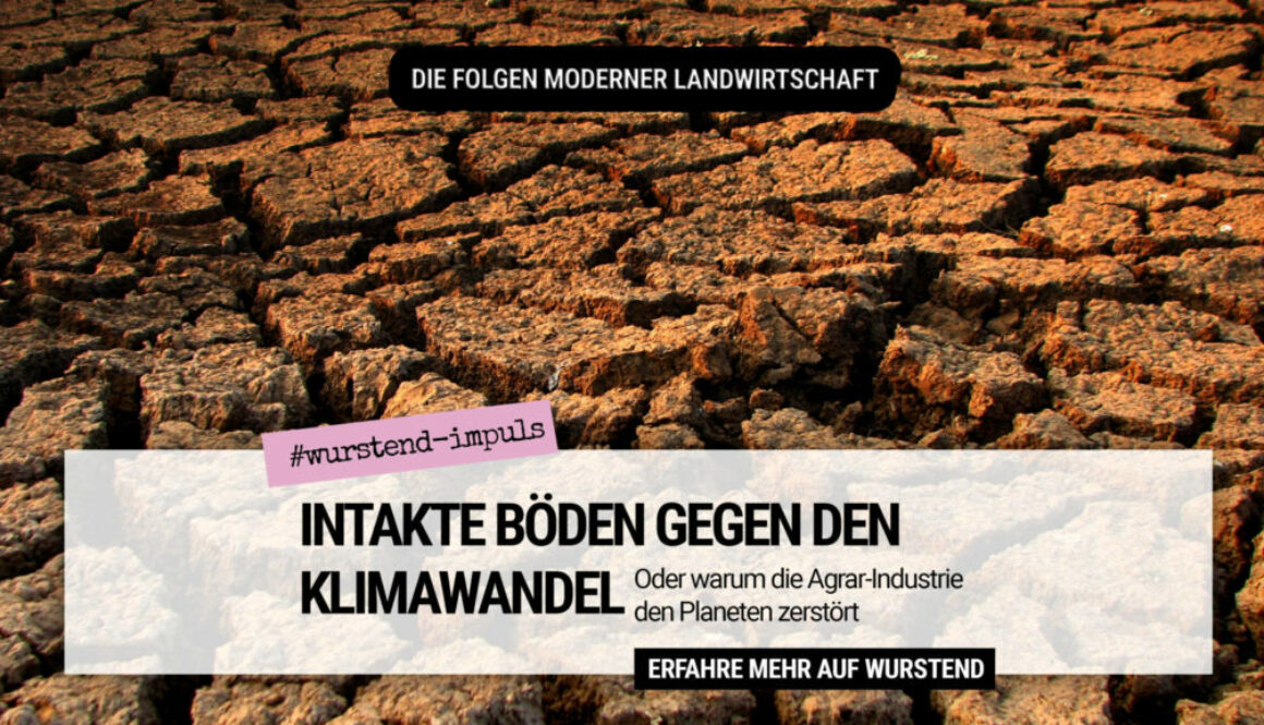 Intakte Böden gegen den Klimawandel