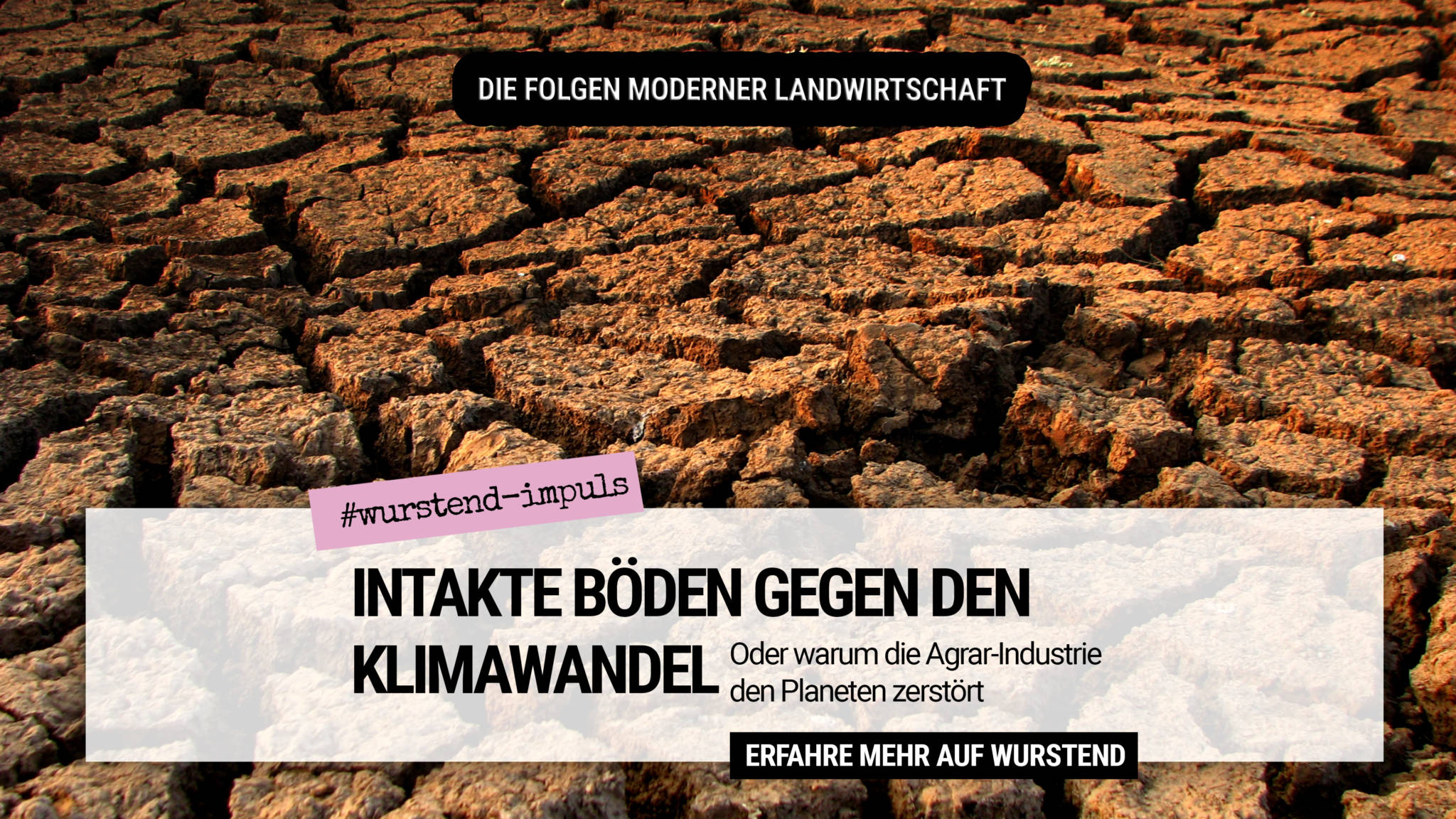Intakte Böden gegen den Klimawandel Intakte Böden gegen den Klimawandel