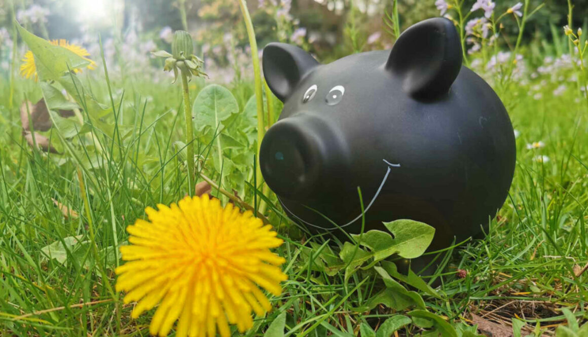 finanzmarkt und sparschwein