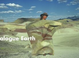 Filmplakat Dialogue Earth über die Künstlerin Ulrike Arnold, die in Wüsten mit Erden malt