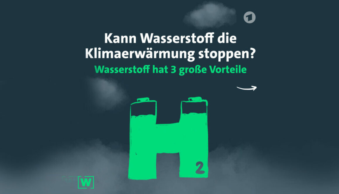 Wasserstoff die Zukunft ?