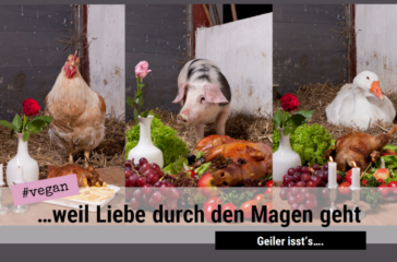 melanie-titel-5x vegane ernährung, achtsam ganzheitlich gesund