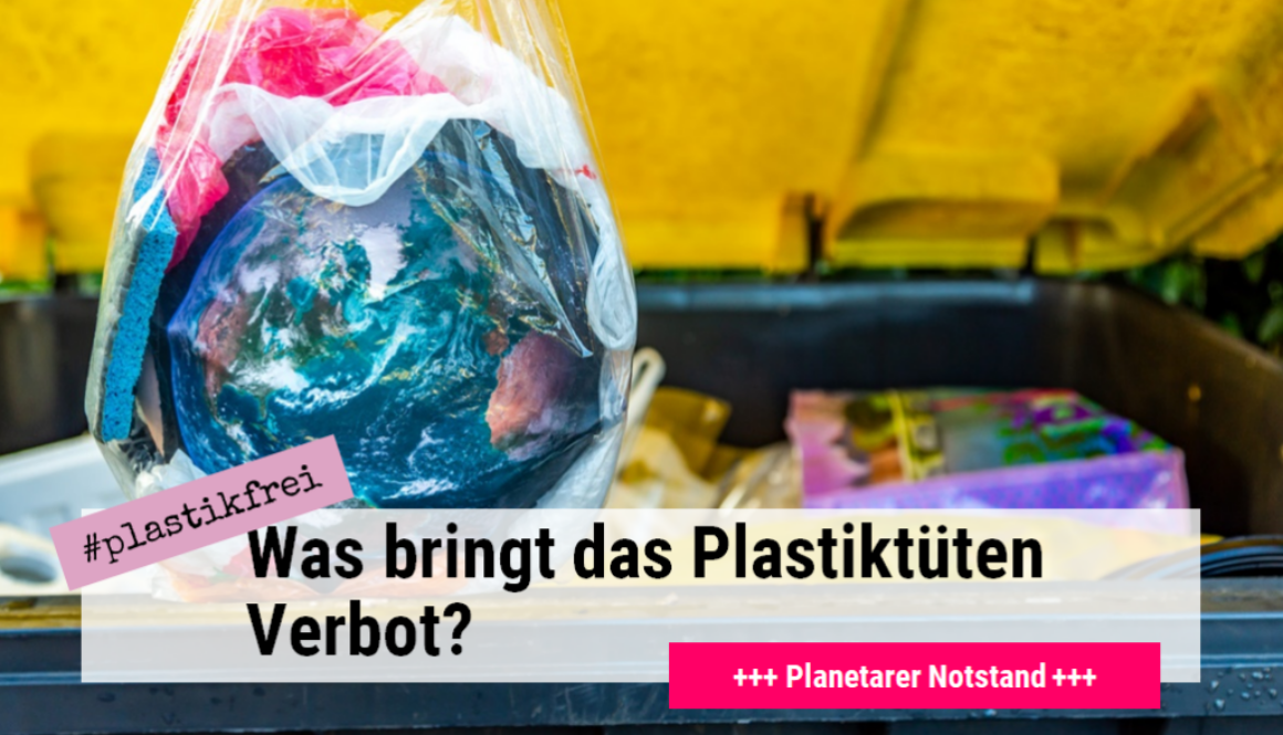 zero wste in der gelben tonne