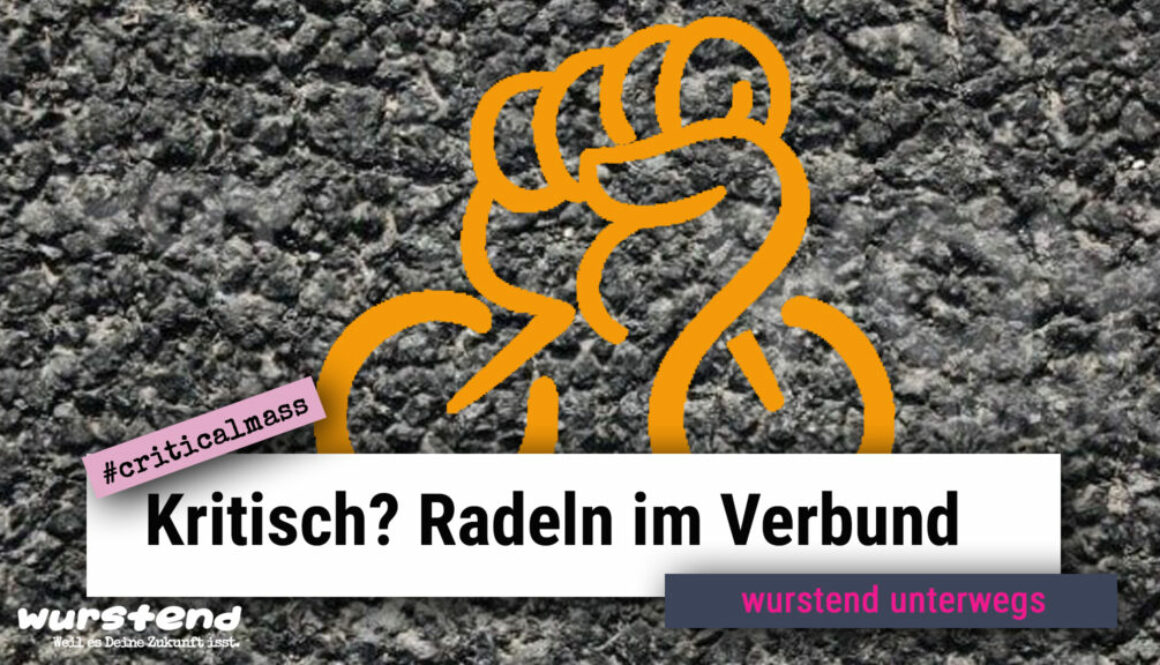 critical mass ist eien Porotestbewegung um das Fahrrad als vollwertiges Verkehrsmittel zu etablieren