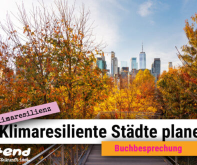städte müssen klimaresilient werden, um den bewohnerinnen das leben zu ermöglichen